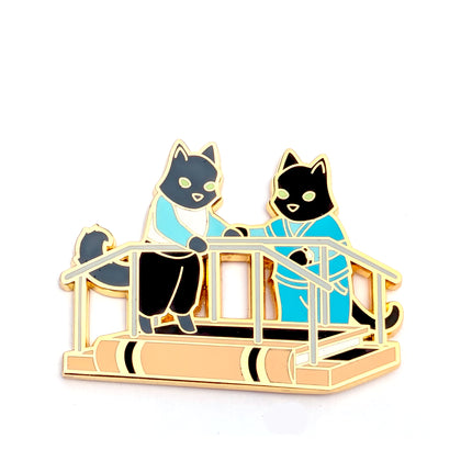 Physical Therapy Cat - Hard Enamel Pin - PT
